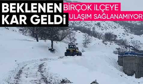 Türkiye'nin doğusunu etkisi altına kar yağışları birçok noktada hayatı durma noktasına getirdi