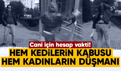 Küçükçekmece'de kedileri dövüp mamalarına çamaşır suyu atan cani gözaltına alındı
