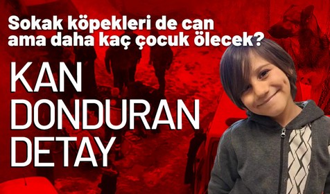 Van'da 10 yaşındaki Emir'in ölümüne sebep olan köpek tavuklara zarar veriyor diye sokağa bırakılmış!