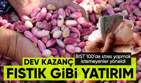 Borsa, altın, dolar derken ülkemiz insanı yatırım portföyüne fıstık da ekledi