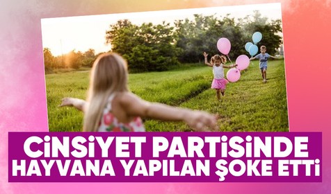 ABD'de hızla yayılan cinsiyet açıklama partisinde güvercini pembeye boyadılar