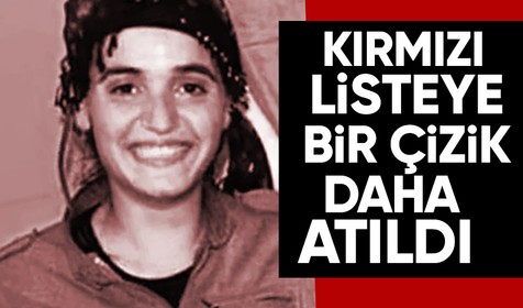 Kırmızı kategoride aranan terörist Dilek Özer ile 2 koruması Şırnak'ta öldürüldü