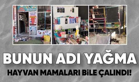 Deprem bölgelerinde yağmalama olayları devam ediyor: Petshop dükkanındaki hayvan yemlerini bile çaldılar