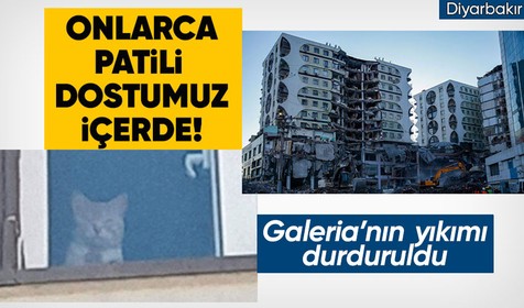 İçerisinde canlı hayvanların olmasına rağmen depremde ağır hasar gören Galeria İş Merkezi ve üstündeki sitenin yıkımına başlanmıştı: Yıkım durduruldu!
