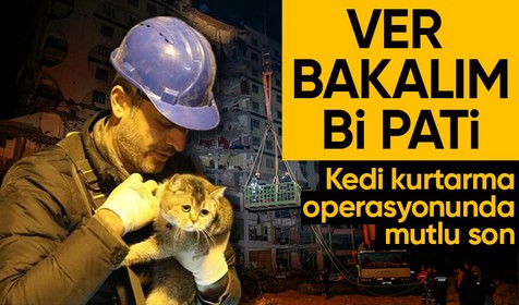 Galeria İş Merkezi ve üstündeki sitede mahsur kalan kediyi ekipler kurtarıyor