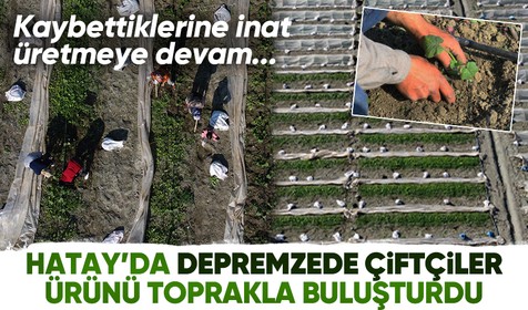 Deprem bölgesi Hatay'da çiftçiler, üretime geçmeye başladı