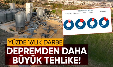 Kahramanmaraş merkezli depremler bölgedeki ekonomik yaşamı da etkiledi: Deprem bölgesindeki 10 ilin tarım alanları içindeki payı ise yüzde 16