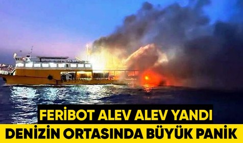 Marmara Denizi'nde feribot yangını! 30 kişi dumandan etkilendi