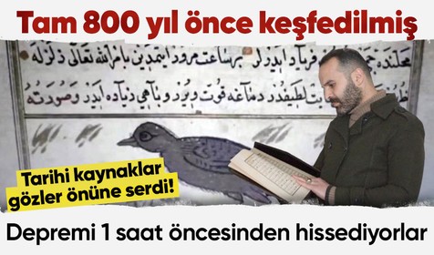 Tarihi kaynaklar gözler önüne serdi! Tam 800 yıl önce keşfedilmiş: Depremi 1 saat öncesinden hissediyorlar 'Erken öğrenmek için kullanılabilir'