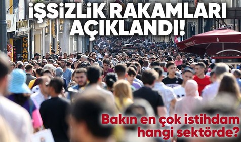 Son dakika! İşsizlik rakamları açıklandı