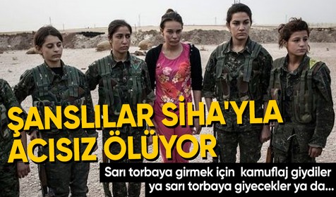 ABD merkezli National Geographic'ten skandal PKK paylaşımı: Eli kanlı  teröristleri kahraman gibi gösterdiler