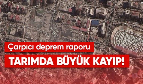 Birleşmiş Milletler: Türkiye'deki depremlerin ardından gıda üretiminde yüzde 20'den fazla kayıp yaşandı