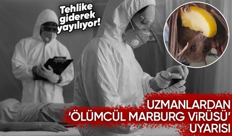 Uzmanlar ölümcül 'Marburg virüsü' riine karşı uyardı! "Seyahatler ertelensin"