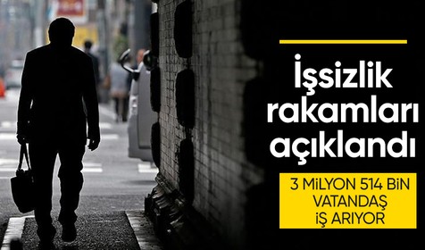 Son dakika: TÜİK şubat ayına ilişkin işsizlik rakamlarını açıkladı