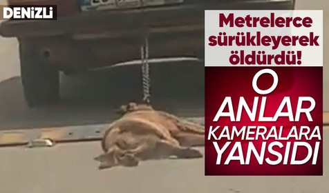 Denizli'de hareket halindeki bir otomobilin arkasına zincirle bağladığı köpeği metrelerce sürükleyerek öldürdü! O anlar kameralara yansıdı