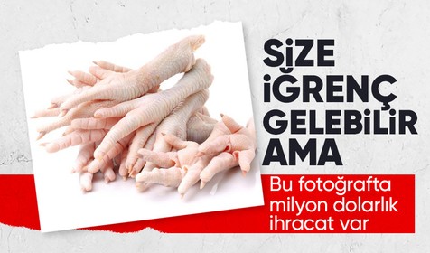 Türkiye Çin'e tavuk ayağı ihracatından 52 milyon dolar kazanıyor