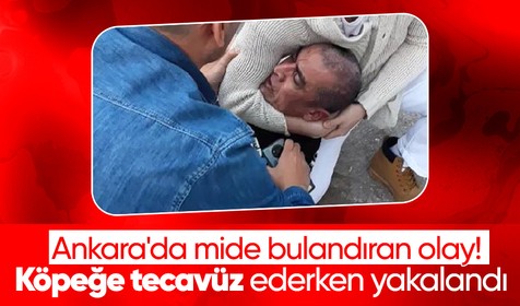 Ankara'da mide bulandıran olay! Köpek istismarcısı bakın nasıl yakalandı!