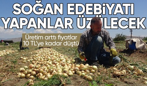 Üretim arttıkça soğan fiyatları da düşmeye devam ediyor: Soğan tarlada 9-10 lira seviyesine düştü