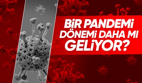 Kuş gribinin gelincikler arasında etkin bir şekilde yayıldığı tespit edildi