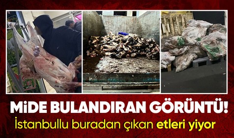 İstanbul'daki et halinde hijyen tartışması