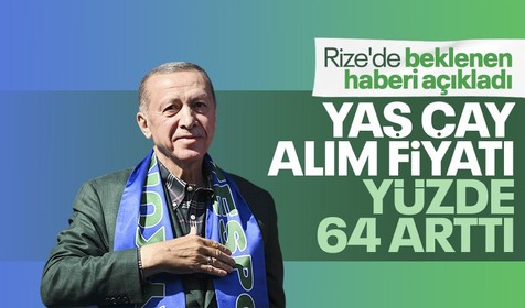 Son dakika... Cumhurbaşkanı Recep Tayyip Erdoğan memleketi Rize'de çay alım fiyatını artırdıklarının müjdesini verdi