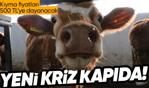 TÜSEDAD Genel Başkanı Sencer Solakoğlu korkutan haberi verdi: Et ve sütte yeni kriz kapıda