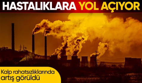 Karbondioksit artışı ile yükselen hava sıcaklığı bazı hastalıkları neden oluyor