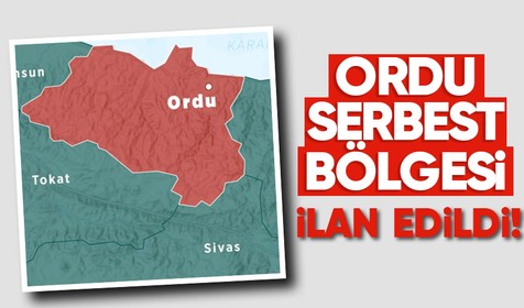 Ordu'nun Ünye ilçesi sınırları içerisinde yer alan bir alan 'Ordu Serbest Bölgesi' olarak ilan edildi
