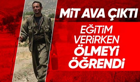 SON DAKİKA! MİT'ten Suriye'de operasyon! Sözde Hol eyaleti öldürüldü