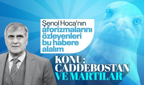Şenol Güneş'in sözleri sosyal medyayı salladı! Caddebostan ve martılar...