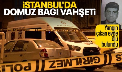 İstanbul'da tüyler ürperten olay! Domuz bağı ile bağlanarak öldürüldü