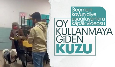 Türkiye bir kere daha sandık başında! İstanbul'da bir vatandaş oy kullanmaya kuzusuyla geldi