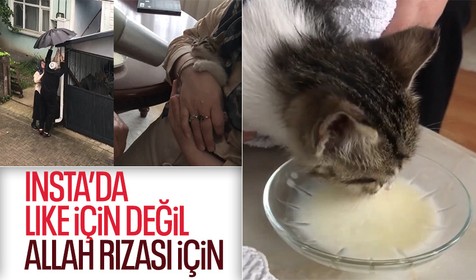 Yağmurda çatıda mahsur kalan kedi güzel yürekli çift tarafından kurtarıldı! Bazı kahramanlar pelerin takmaz