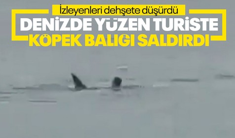 Mısır'da köpek balığı dehşeti! Denizde yüzen Rus turist hayatını kaybetti