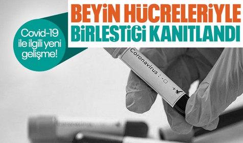 Bilimde yeni gelişme! Covid-19 virüsünün beyin hücreleriyle birleşebildiği kanıtlandı