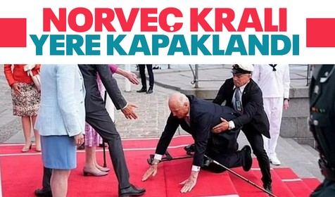 Danimarka'da resmi ziyarette bulunan 86 yaşındaki Norveç Kralı V. Harald kırmızı halıda düştü