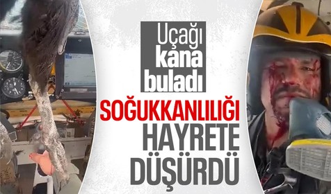 Devasa kuşun kokpite saplandığı o anlar sosyal medyada viral oldu! Soğukkanlı pilot uçağı uçurmaya devam etti