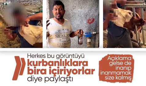 Kurbanlık hayvana alkol içirdiği iddia edilen satıcıdan açıklama geldi! "Hap veriyoruz"