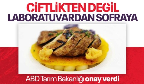 ABD'de yapay tavuk etinin satışına onay verildi! Laboratuvardan sofraya gelecek
