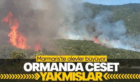 Muğla'nın Marmaris ilçesinde orman yangını çıktı: Ceset yakmışlar