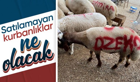 Son dakika! Tarım ve Orman Bakanı İbrahim Yumaklı açıkladı! Satılamayan kurbanlıklar ne olacak?