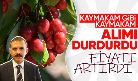 Afyonkarahisar'da Kaymakam araya girip alımı durdurdu, kirazda fiyat krizi aşıldı