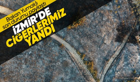 Son dakika... İzmir'de Aliağa ve Menderes ilçelerinde orman yangını çıktı