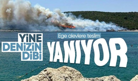 İzmir Demirciler Koyu'nda orman yangını! Alevler kısa sürede büyüyerek yayılmaya başladı