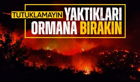 Son Dakika: Ormanları yakan 2 hain tutuklandı! Adalet Bakanı Tunç'tan soruşturma hakkında önemli açıklama