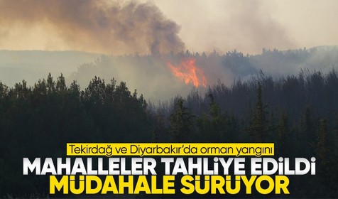Tekirdağ ve Diyarbakır'da orman yangınlarında son durum! Ekipler seferber oldu