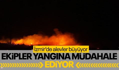 İzmir Urla'da çıkan yangına müdahale ediliyor
