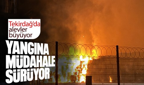 Tekirdağ'da karton fabrikasında yangın