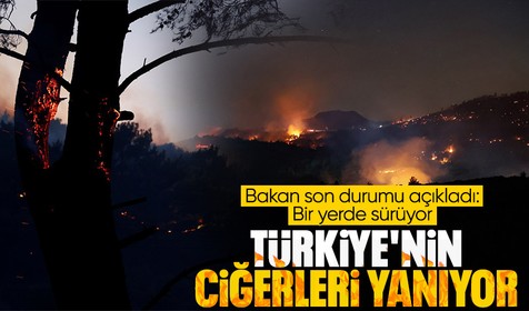 Alevler Türkiye'nin ciğerlerini yakıyor! 85 milyonun gözü Antalya'da