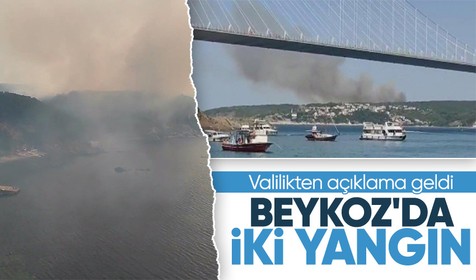 Beykoz'daki orman yangınları söndürüldü! 10 hektarlık alan zarar gördü